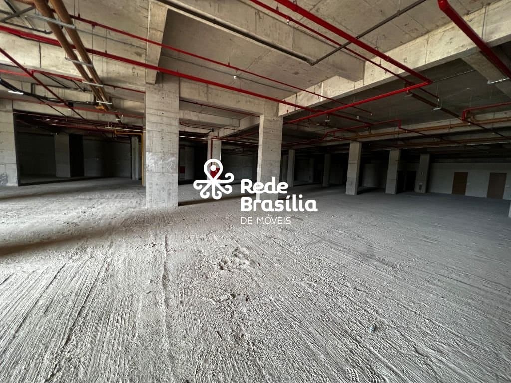 Imagem da propriedade AM375 6