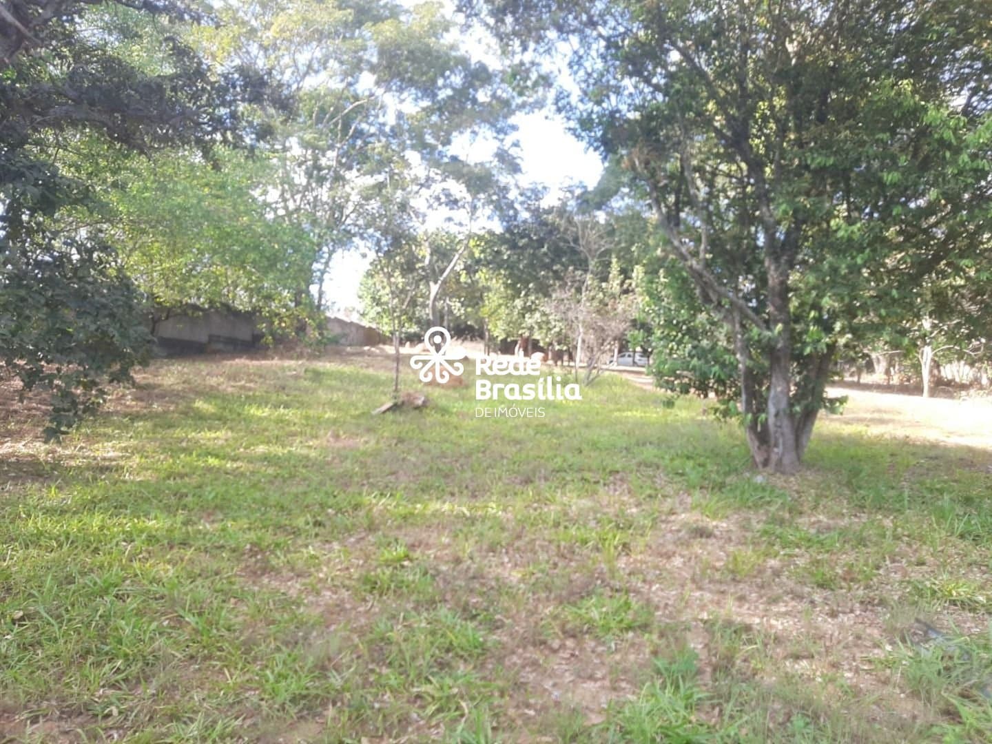 Imagem da propriedade SM799 2