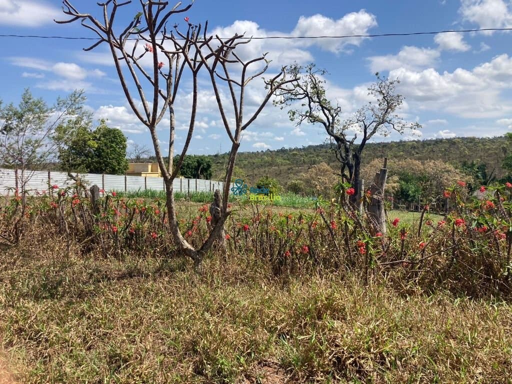 Imagem da propriedade CO8290 4