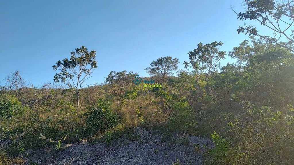 Imagem da propriedade CO8823 21