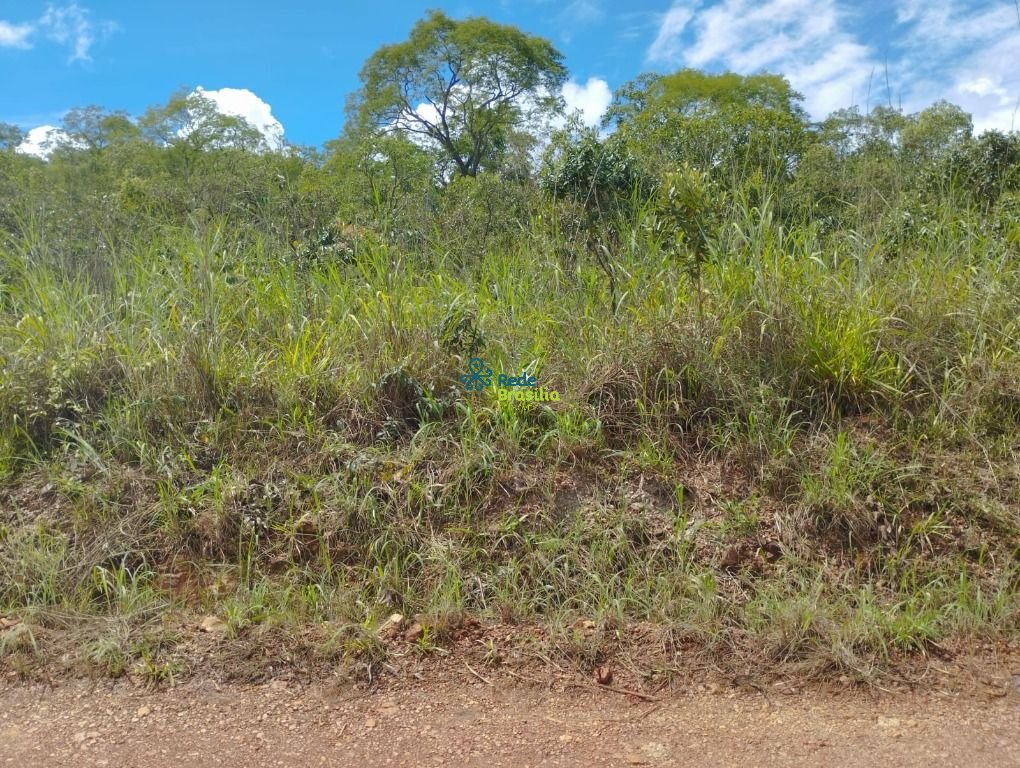 Imagem da propriedade CO8823 1