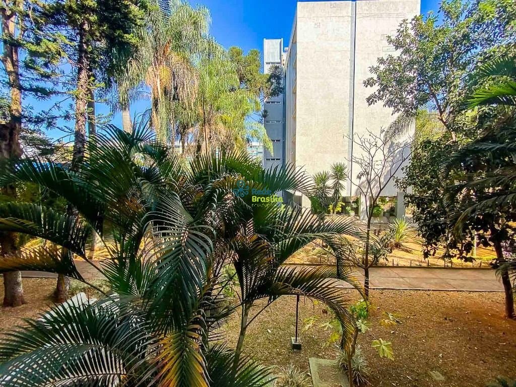 Imagem da propriedade CO9123 8